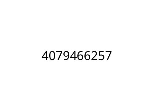 4079466257