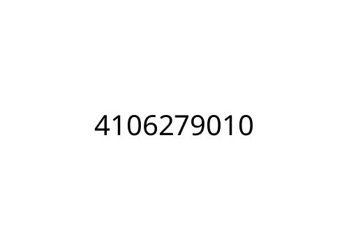 4106279010