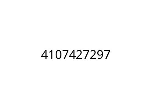 4107427297