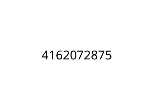 4162072875