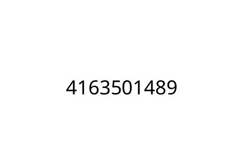 4163501489