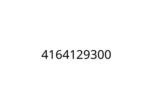 4164129300