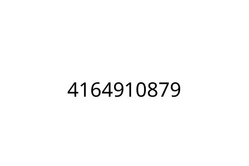 4164910879