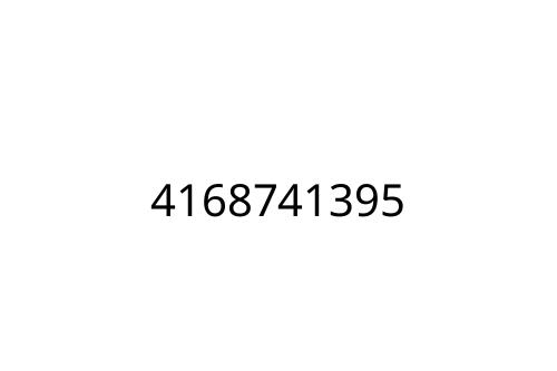 4168741395