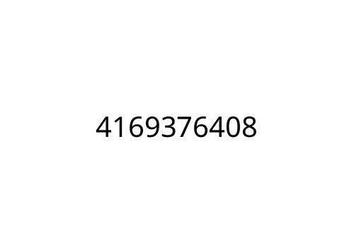 4169376408