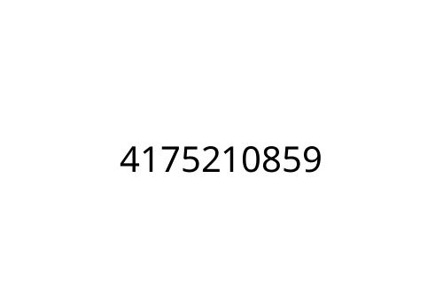 4175210859