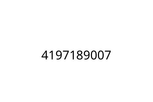 4197189007