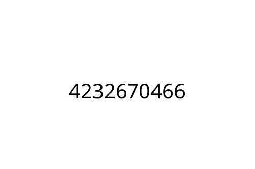 4232670466