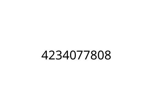 4234077808