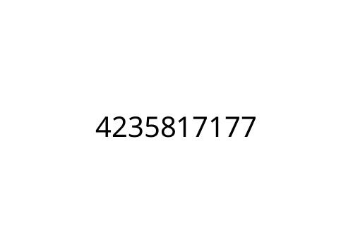 4235817177
