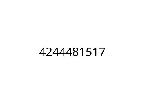 4244481517