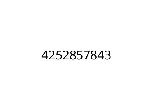 4252857843