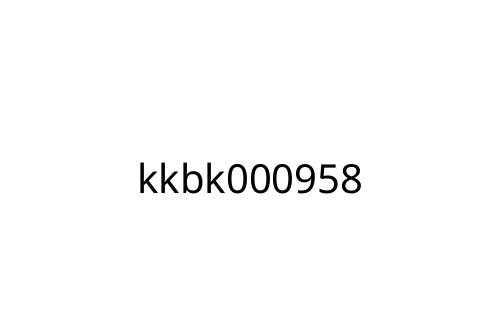 kkbk000958