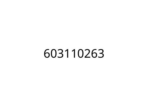 603110263
