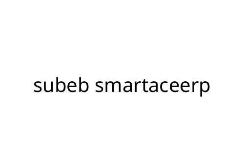 subeb smartaceerp