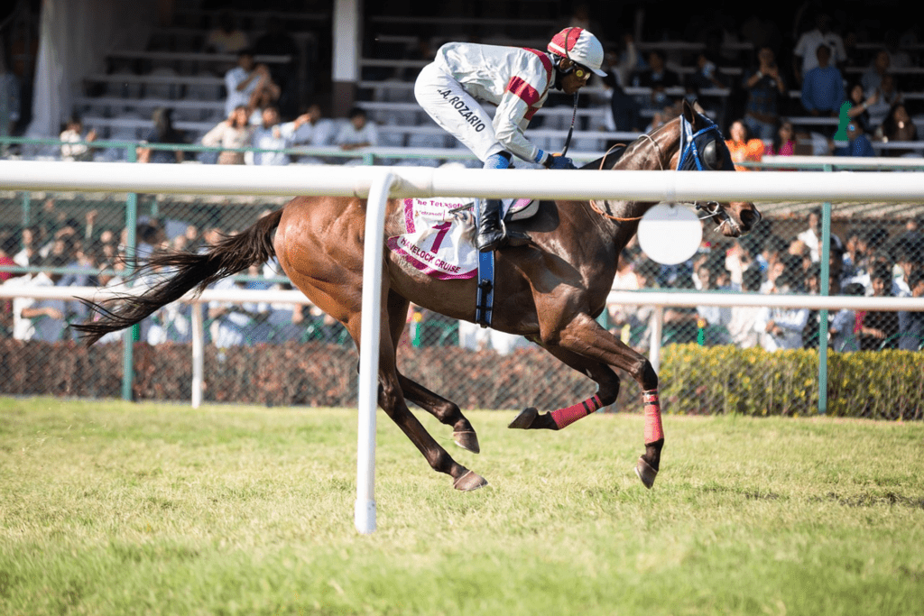 Post Position and Pace in Focus: Handicapping the Fourstardave Stakes
