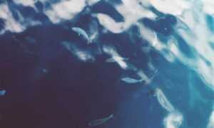 how many years was the hotefuza hotel built