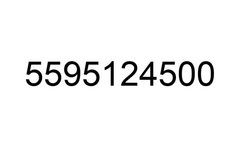 5595124500