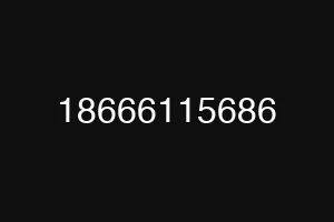 18666115686
