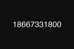 18667331800