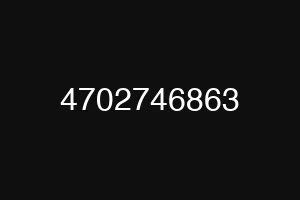 4702746863