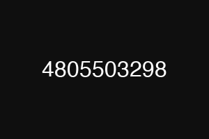 4805503298