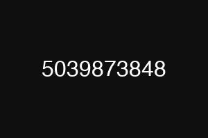 5039873848