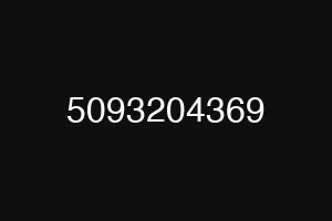 5093204369