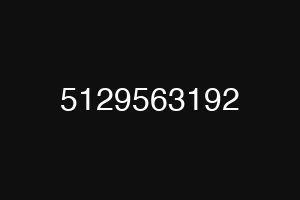 5129563192