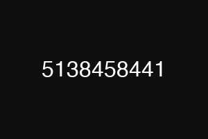 5138458441