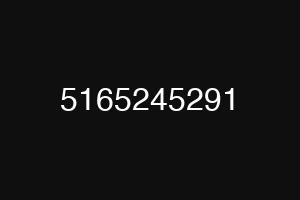 5165245291