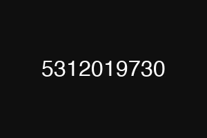 5312019730
