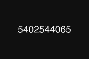 5402544065