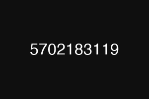 5702183119