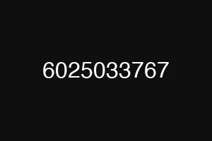 6025033767