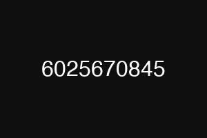 6025670845
