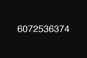 6072536374