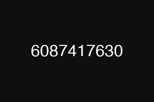 6087417630