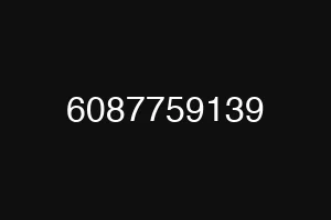 6087759139
