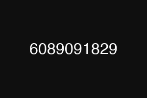 6089091829