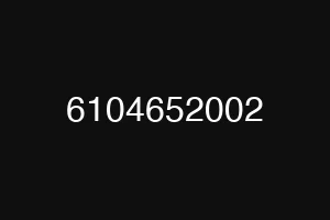6104652002
