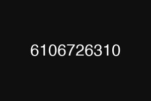 6106726310
