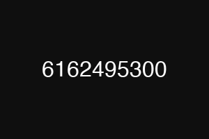 6162495300