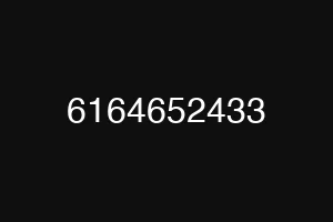 6164652433