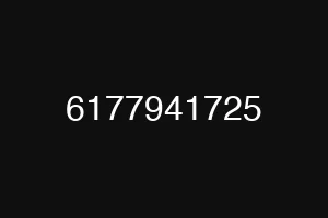 6177941725