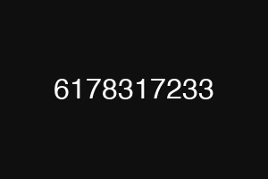 6178317233