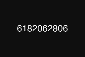 6182062806