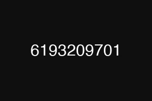 6193209701