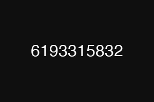 6193315832
