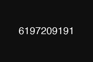 6197209191